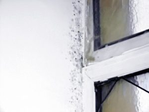 2007 г. Пироговское водохранилище, Жостово